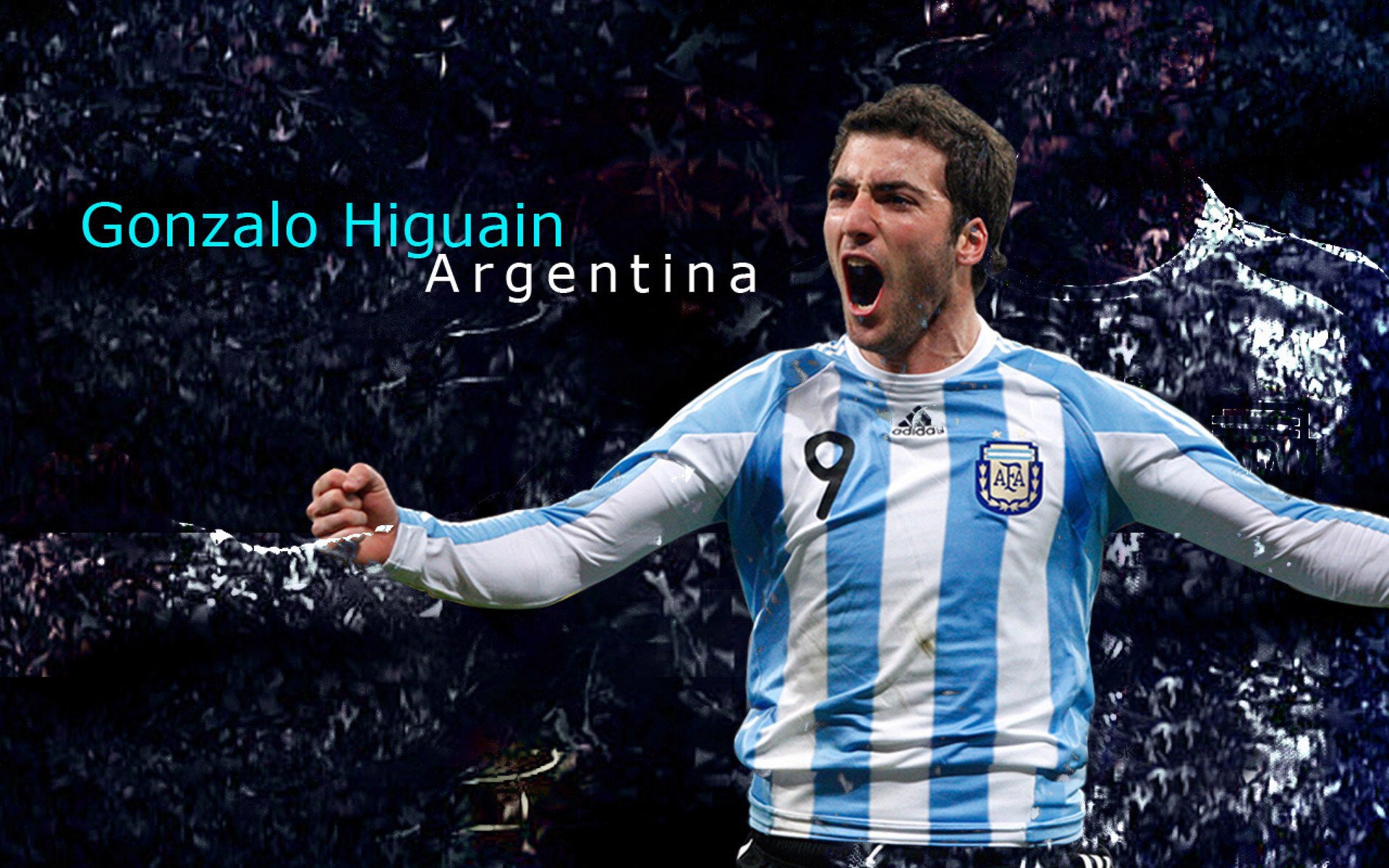 世界杯志愿者招募正式启动，2022年世界杯志愿者申请要求